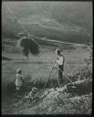 Image of Haying In Norway